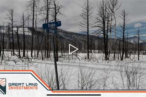 Cheap land for sale  with trees and mountains owner financing available @Great Land Investments