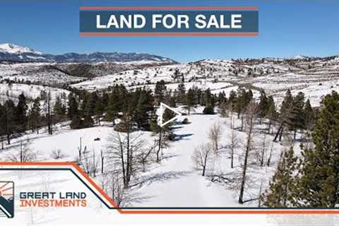 Land for sale in Forbes Park Colorado 1.72 acre Property with trees and mountains
