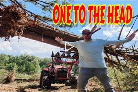 THIS WILL LEAVE A MARK!! LAND CLEARING | abandoned cabin | cabin build | tractor work | homesteading