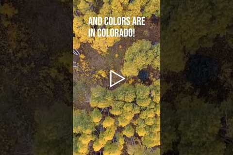Colorado has one of the best falls of the country 🍁😍 #colorado #fall #love #color #usa