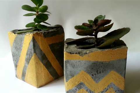 How to Make Your Own DIY Planters