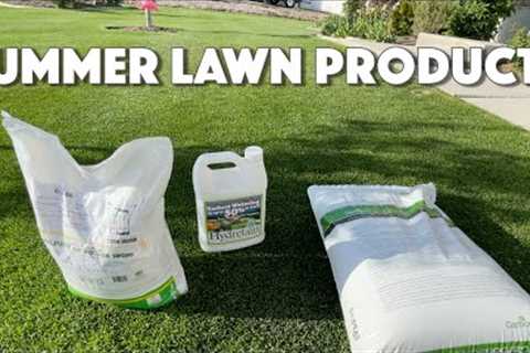 SUMMER PREP For Your Lawn STARTS NOW