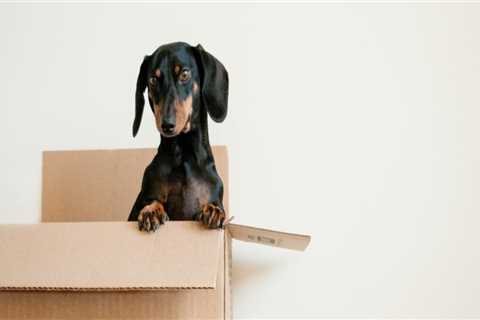 What is a reasonable relocation package?
