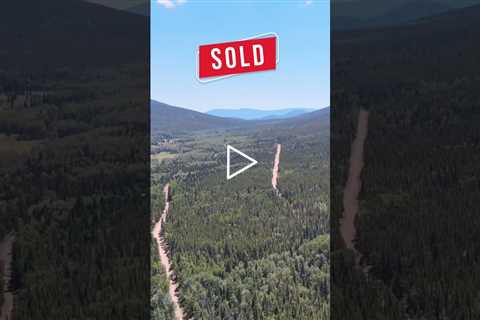 This time we sold these full trees adjacent lots 😍