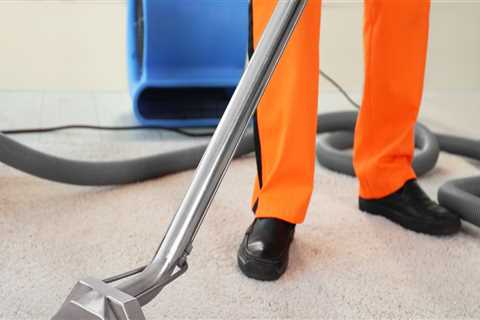 Perks Of Employing A Rochester, NY Carpet Cleaning Company To Clean Your Carpet After A Home..