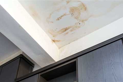 Does home owner insurance cover roof leaks?