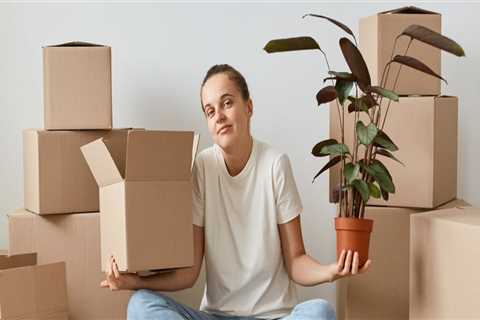 What items cannot be moved by movers?