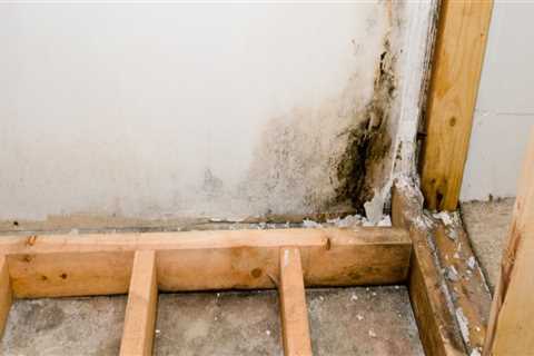 Does insurance cover mold under house?