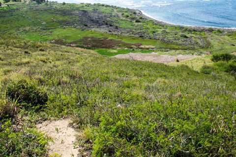 Preserving Maui's Coastal Landscapes: The Maui Coastal Land Trust