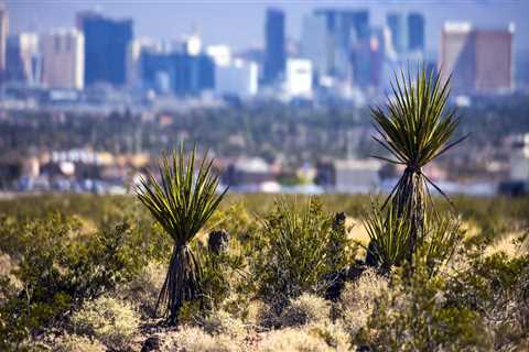 Tax Implications for Real Estate Investments in Clark County, Nevada