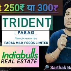 TRIDENT share latest news l Parag Milk Foods share latest news l Indiabulls Real Estate share news