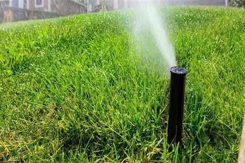 Water Conservation Made Easy: Residential Sprinkler Installation For Green Homes In Northern VA
