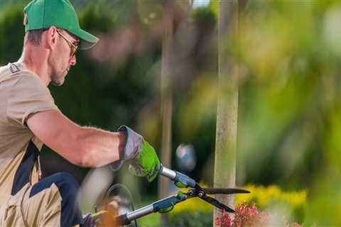 What is the professional name for a tree cutter?