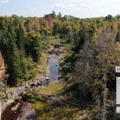 21.4± Acres for $59,900 | Maine Real Estate