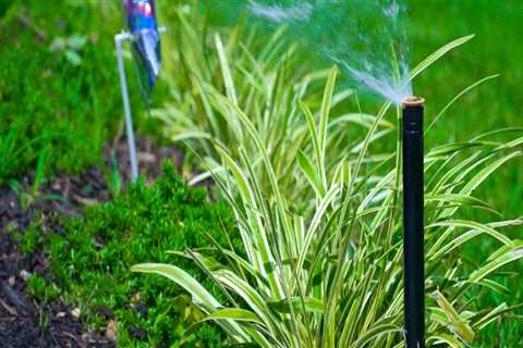 The Role Of Sprinklers In Northern VA Real Estate Marketing For Impressive Lawns