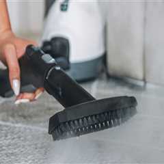 Benefits Of Hiring The Right Carpet Cleaning Companies In Meridian During Home Remodeling Projects