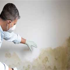 Understanding The Impact Of Mold Remediation On Residential Appraisals In Tri-Cities, WA