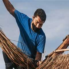 All About Thatched Roofs: A Guide to Roof Repair, Installation, and Maintenance