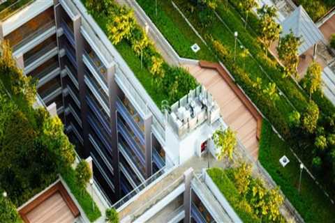 Green Roofing: The Sustainable Solution for Your Roofing Needs