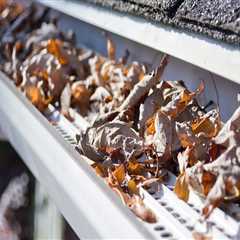 Why Gutter Cleaning In Orlando, FL Is Essential Before Home Inspection Services