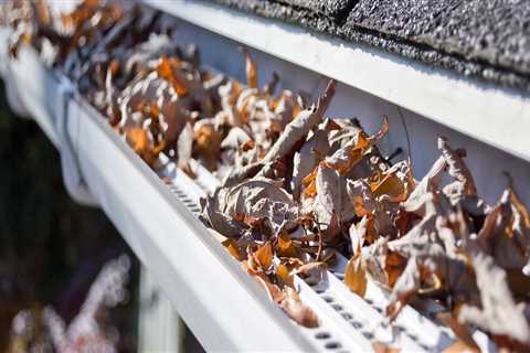 Why Gutter Cleaning In Orlando, FL Is Essential Before Home Inspection Services
