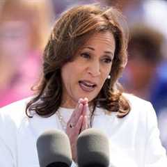 ‘Cowardly’: Kamala Harris fails to concede to her supporters after losing the US election