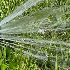 How Sprinkler Systems Enhance Senior Living Communities In Winter Garden, FL
