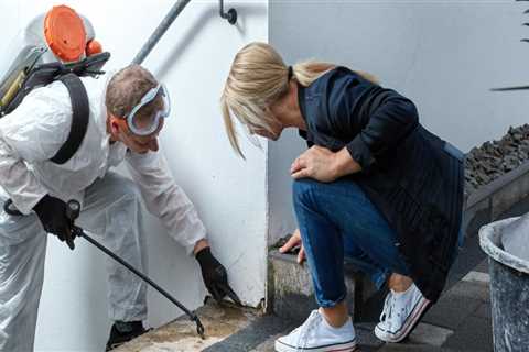 Ensuring Quality: The Role Of Mold Remediation Service In Seattle Manufactured Home Construction