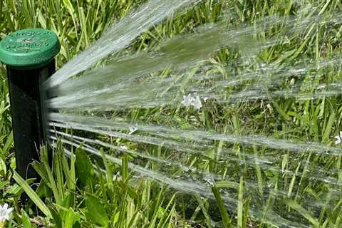 How Sprinkler Systems Enhance Senior Living Communities In Winter Garden, FL