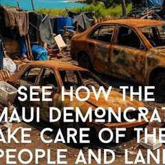 This Is How Maui Takes Care of their People & Land (the update video they don’t want you to see)