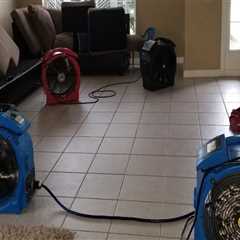 The Importance Of Bed Bug Spraying In Orlando For Manufactured Home Communities