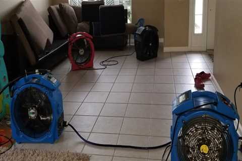 The Importance Of Bed Bug Spraying In Orlando For Manufactured Home Communities