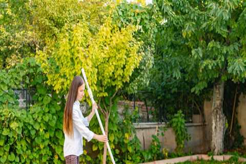 Why Pool Cleaning Is Crucial During Home Building In Scottsdale: Ensuring Crystal Clear Waters From ..