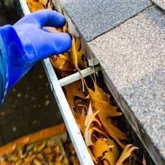 How Often Should You Clean Your Gutters to Protect Your Roof