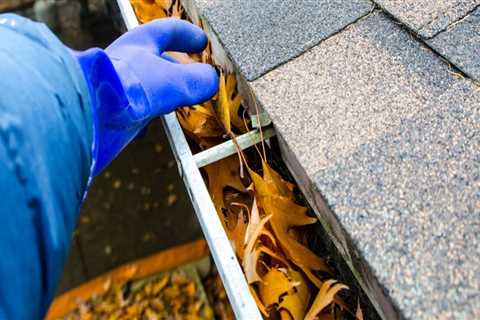 How Often Should You Clean Your Gutters to Protect Your Roof