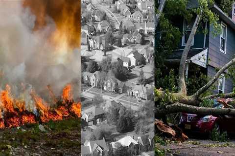 The Impact of Weather and Climate on Real Estate in Douglas County, NE: An Expert's Perspective