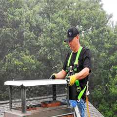 Protect Your Home: Chimney Cleaning & Roofing in Mobile