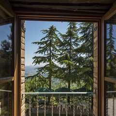 Preserve Timber Frame Homes with Expert Cleaning Services