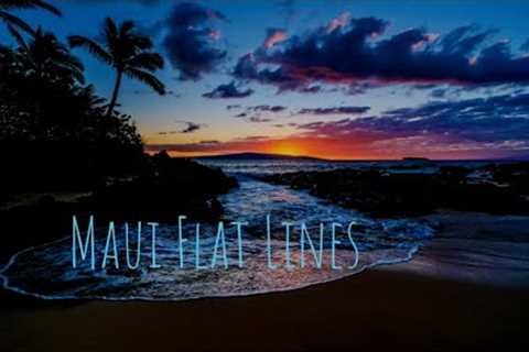 Maui Real Estate | Flat Lines