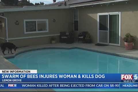Swarm of bees leaves three hospitalized, one dog dead