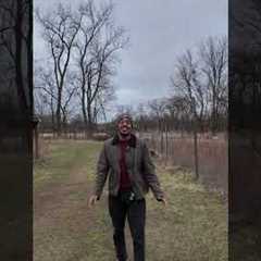 This is how you invest in tax liens. #realestate #investing