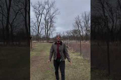 This is how you invest in tax liens. #realestate #investing