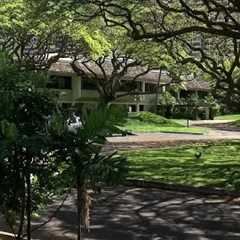 City pulls $34M for Kamehameha property acquisition in Hawaii Kai
