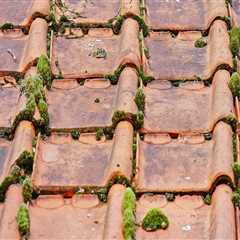 Enhance Property Value with Quality Roofing Services