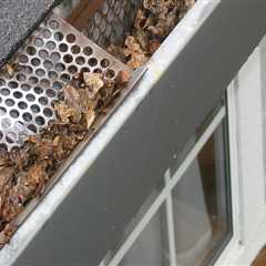 Protect Your Home: Furnace Repair & Gutter Installation Costs