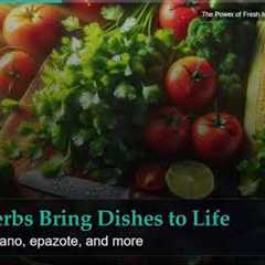 The Power of Fresh Ingredients in Mexican Cooking