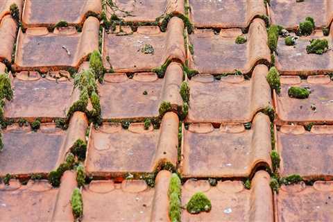 Enhance Property Value with Quality Roofing Services