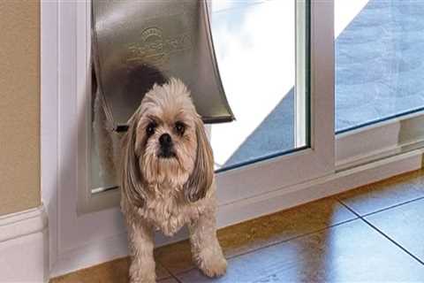 Enhance Your Home with Pet Door Installation by HomeStar in Salt Lake County