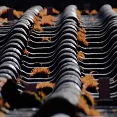 Impact of Roof Condition on Residential Appraisals