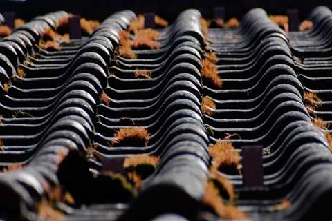 Impact of Roof Condition on Residential Appraisals